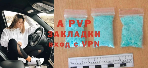 крисы Белокуриха