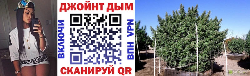 продажа наркотиков Нарткала Канабис White Widow